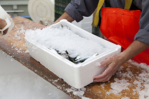 彭山鱼类冷库使用中要注意的事项有哪些?